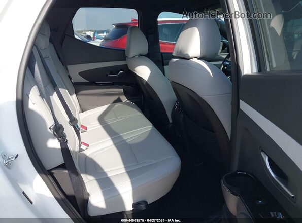 5NTJEDDF5SH141102 2025 HYUNDAI SANTA CRUZ White Vista de la etiqueta del VIN