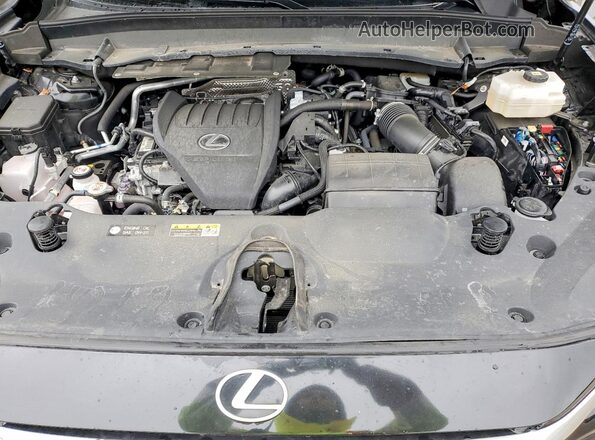 5TDABAB68RS007214 2024 LEXUS TX Black Widok komory silnika