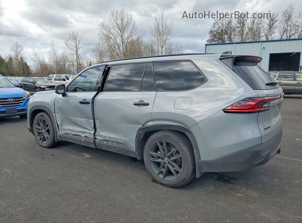 5TDACAB53SS055911 2025 TOYOTA HIGHLANDER HYBRID Gray Trasero izquierdo
