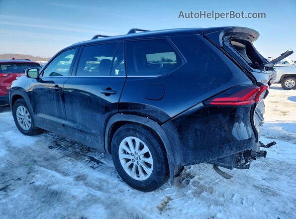 5TDACAB54SS051009 2025 TOYOTA HIGHLANDER Черный Задняя левая четверть