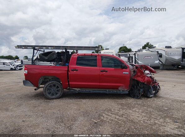 5TFAY5F10KX869511 2019 TOYOTA TUNDRA Красный Вид задней части салона