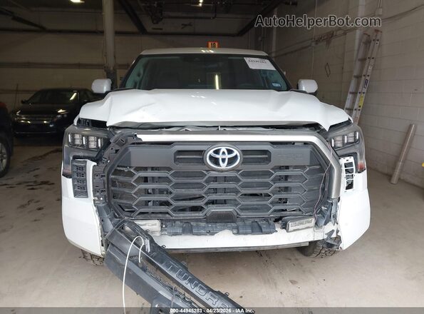 5TFJC5DB6PX020372 2023 TOYOTA LIMITED White Սալոնի հետևի տեսք
