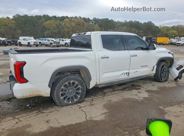 5TFJC5DB7NX010950 2022 TOYOTA LIMITED Белый Задняя правая четверть