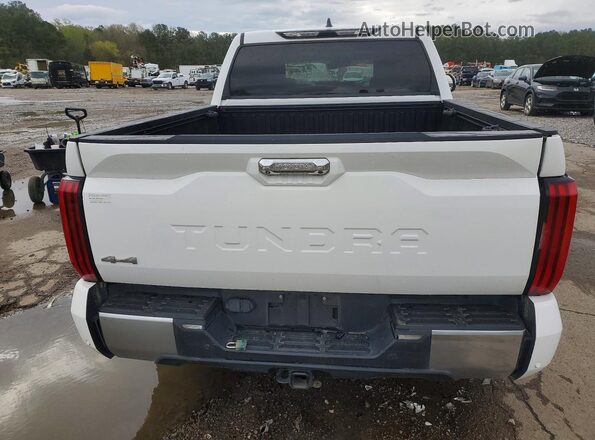 5TFJC5DB7NX010950 2022 TOYOTA LIMITED Белый Вид сзади