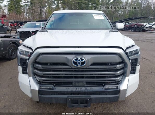 5TFJC5DB8RX065123 2024 TOYOTA LIMITED White უკანა სალონის ხედი