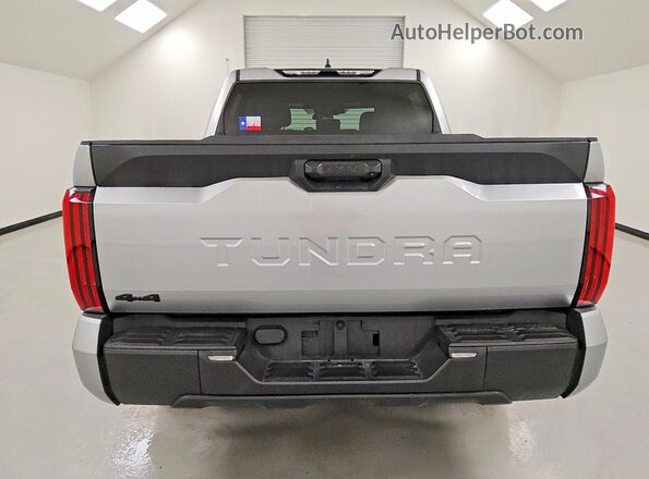 5TFKB5DB3SX311735 2025 TOYOTA TUNDRA Silver Widok z tyłu