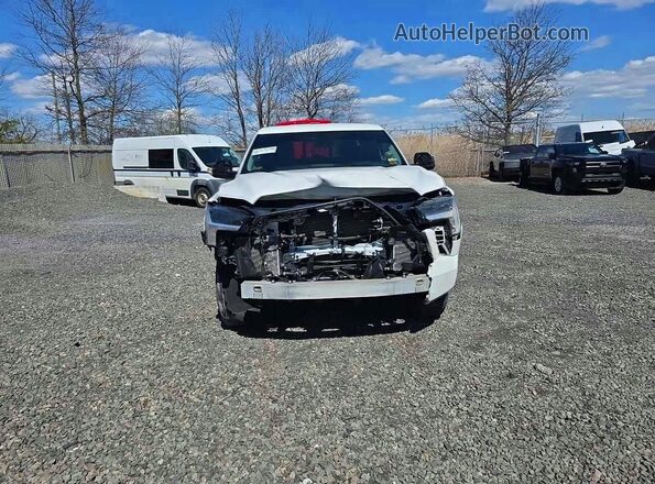 5TFKB5GD3RX002547 2024 TOYOTA TUNDRA White Widok z przodu