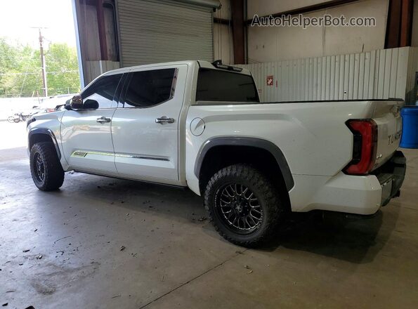 5TFMA5DB9NX040101 2022 TOYOTA TUNDRA Белый Задняя левая четверть