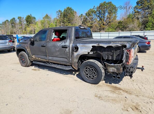 5TFPC5DB1PX028289 2023 TOYOTA TUNDRA Black Задня ліва чверть