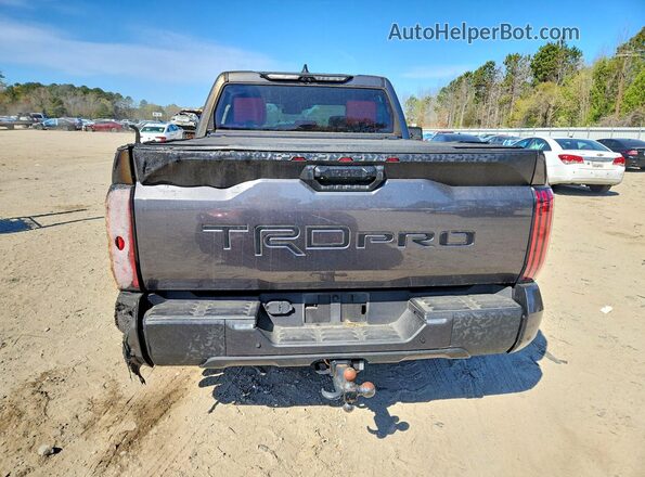 5TFPC5DB1PX028289 2023 TOYOTA TUNDRA Black Вид ззаду