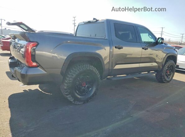 5TFPC5DB9PX031702 2023 TOYOTA TUNDRA Gray Задня права чверть