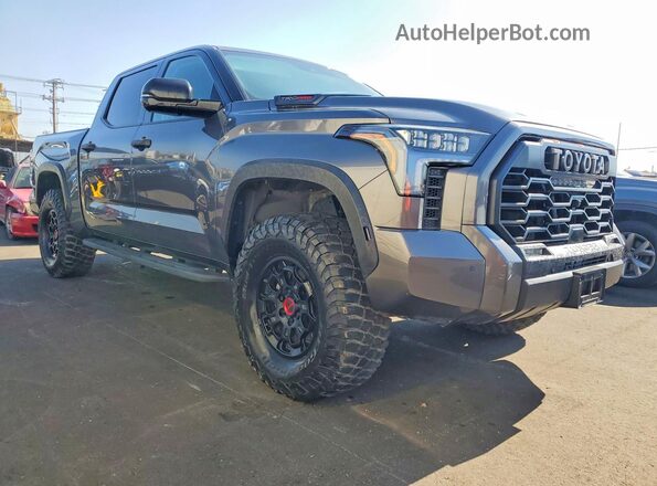 5TFPC5DB9PX031702 2023 TOYOTA TUNDRA Gray Передня права чверть