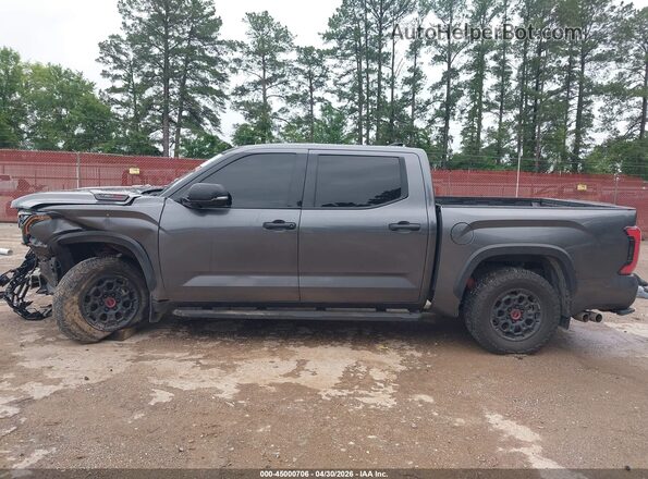 5TFPC5DB9PX035216 2023 TOYOTA TUNDRA HYBRID Gray 