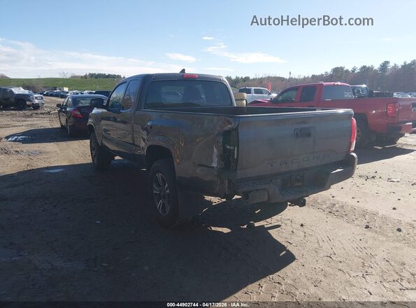 5TFSX5EN2KX067246 2019 TOYOTA TACOMA Gray Tył lewy