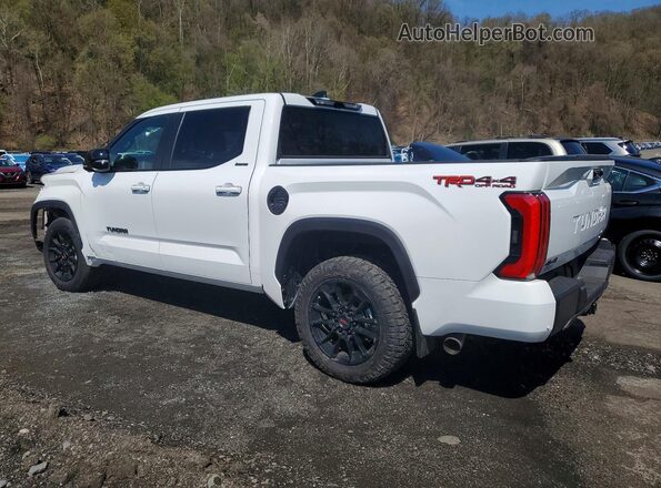 5TFWA5DB9TX365076 2026 TOYOTA LIMITED White უკანა მარცხენა
