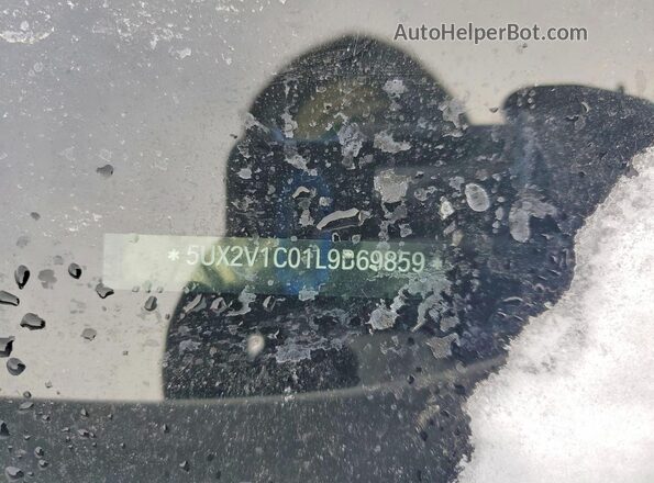 5UX2V1C01L9B69859 2020 BMW X4 White 
