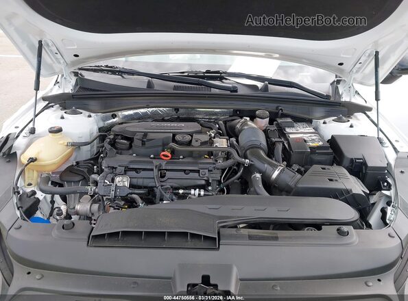 5XXG64J27RG230022 2024 KIA K5 Белый Вид сзади