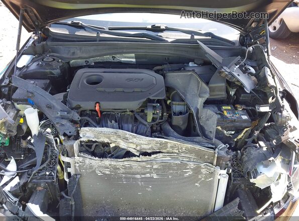 5XXGT4L36LG381309 2020 KIA OPTIMA Black 