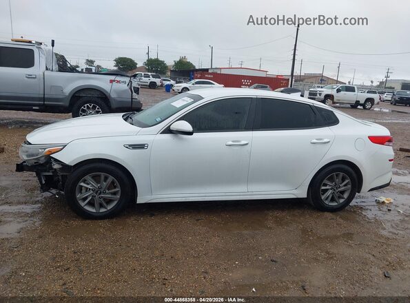 5XXGT4L37LG428590 2020 KIA OPTIMA Белый 