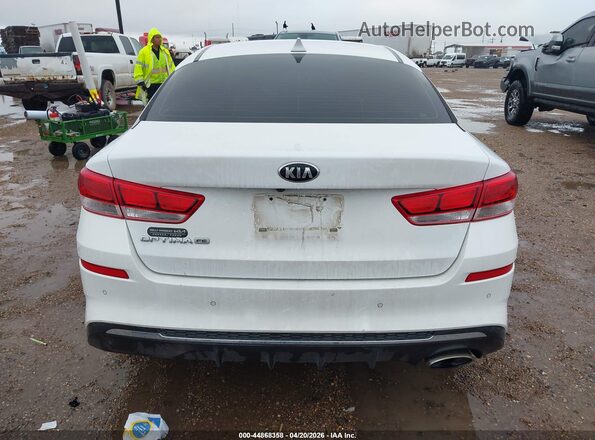 5XXGT4L37LG428590 2020 KIA OPTIMA Белый 