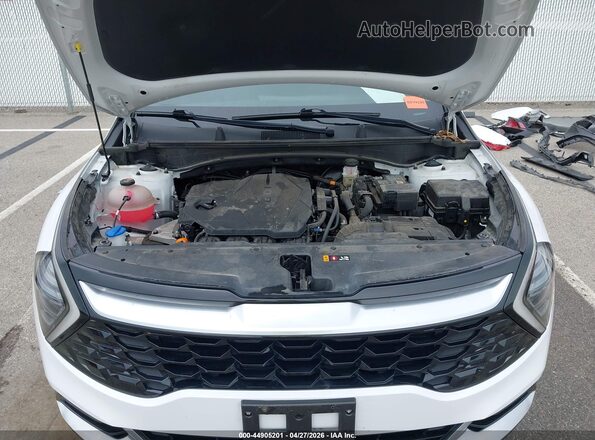 5XYK43DFXRG194556 2024 KIA SPORTAGE White Widok z tyłu