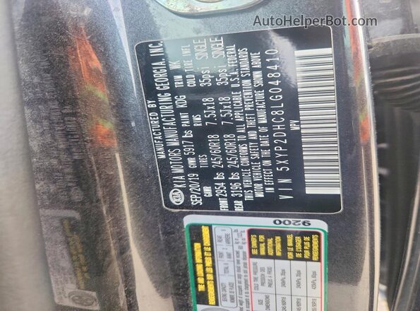 5XYP2DHC8LG048410 2020 KIA TELLURIDE Gray Vista del compartimento del motor