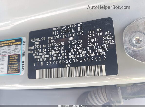 5XYP3DGC9RG492922 2024 KIA TELLURIDE Gray Widok komory silnika