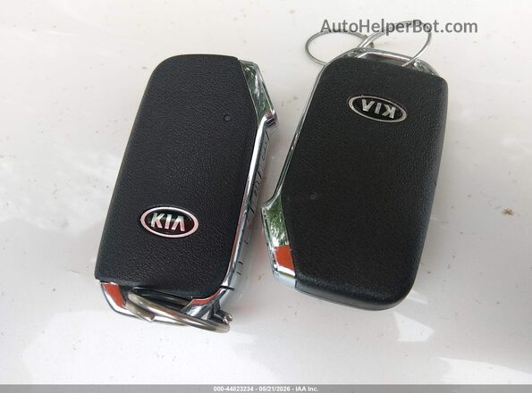 5XYP3DHC3LG080372 2020 KIA TELLURIDE Light Blue Vista del salpicadero