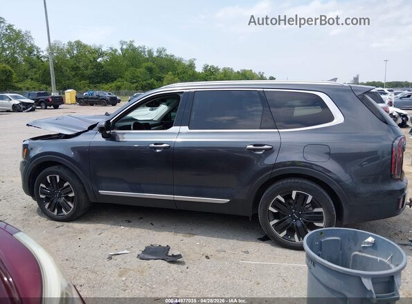 5XYP54GC2RG440056 2024 KIA TELLURIDE Gray 360 interior view