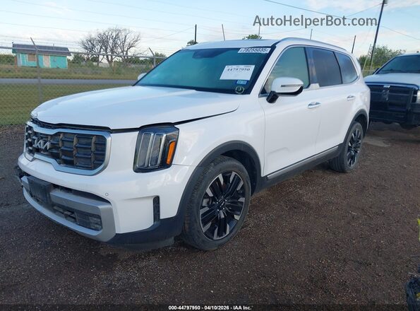 5XYP54GCXRG429676 2024 KIA TELLURIDE White Vista tres cuartos delantera izquierda