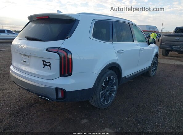 5XYP54GCXRG429676 2024 KIA TELLURIDE White Trasero derecho