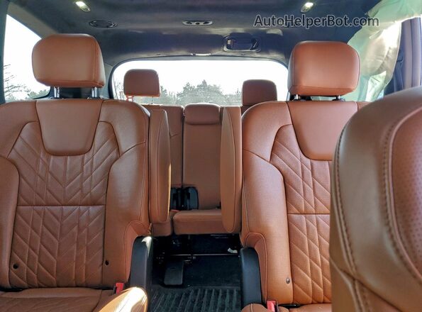 5XYP5DGC8RG502799 2024 KIA TELLURIDE Blue Հետևի նստատեղերի տեսք