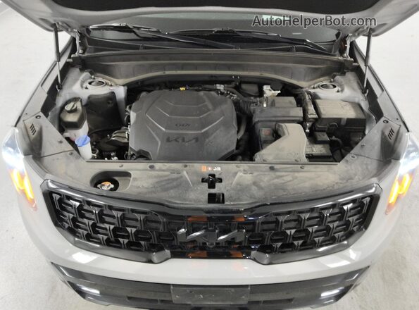 5XYP5DGC9RG437347 2024 KIA TELLURIDE Серый 