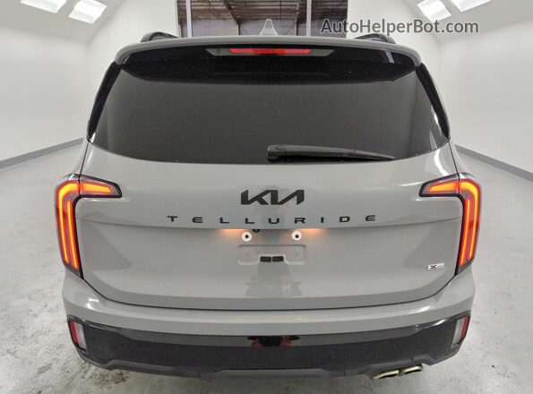 5XYP5DGC9RG437347 2024 KIA TELLURIDE Серый Вид сзади