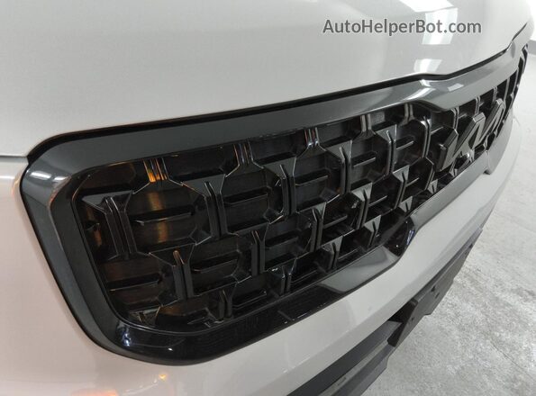 5XYP5DGC9RG437347 2024 KIA TELLURIDE Серый 