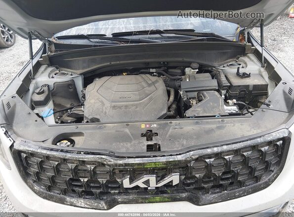 5XYP5DGCXRG460846 2024 KIA TELLURIDE Серый Вид сзади