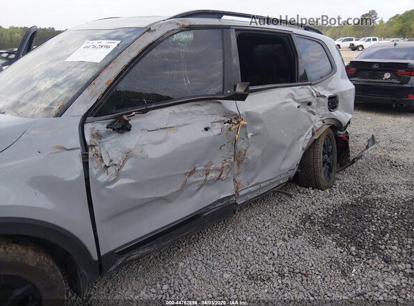 5XYP5DGCXRG460846 2024 KIA TELLURIDE Серый Вид спереди