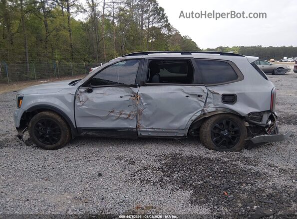 5XYP5DGCXRG460846 2024 KIA TELLURIDE Серый Вид задней части салона