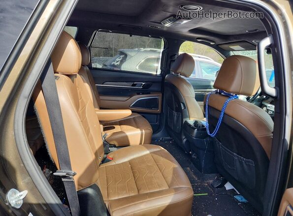 5XYP5DHC2NG287526 2022 KIA TELLURIDE Коричневый Вид задней части салона