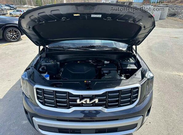 5XYP64GC1SG582644 2025 KIA TELLURIDE Gray Widok z tyłu