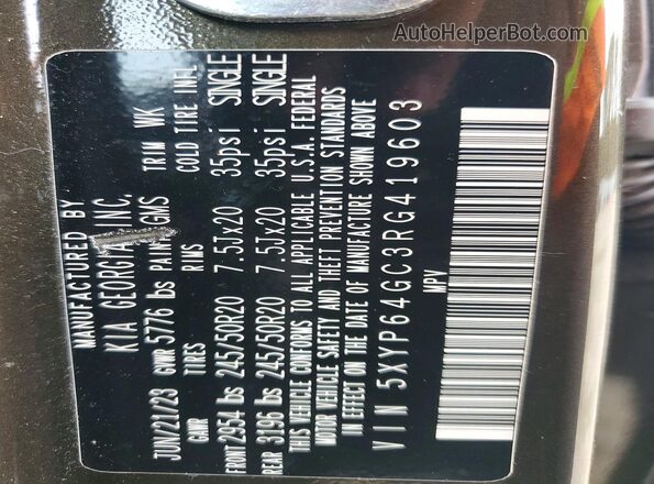 5XYP64GC3RG419603 2024 KIA TELLURIDE Brown Vista del compartimento del motor