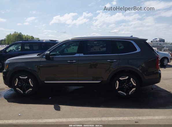 5XYP64GC7RG505397 2024 KIA TELLURIDE Brown 