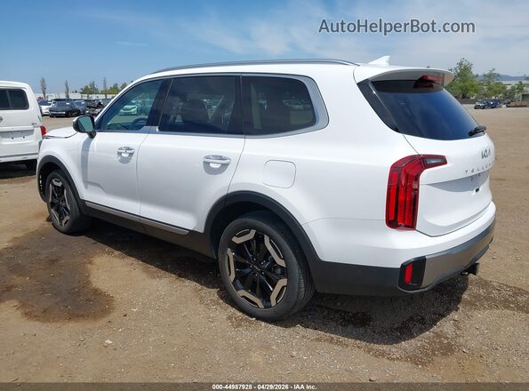 5XYP64GC8RG562997 2024 KIA TELLURIDE White უკანა მარცხენა