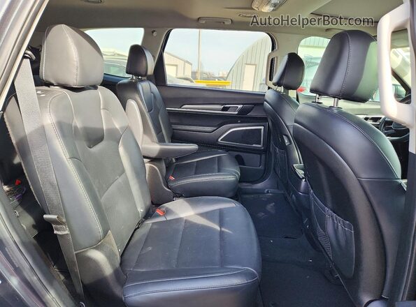 5XYP64HC5LG076699 2020 KIA TELLURIDE Gray Սալոնի հետևի տեսք
