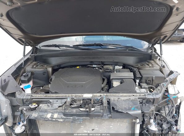 5XYP6DGC2RG468064 2024 KIA TELLURIDE Green Rear view