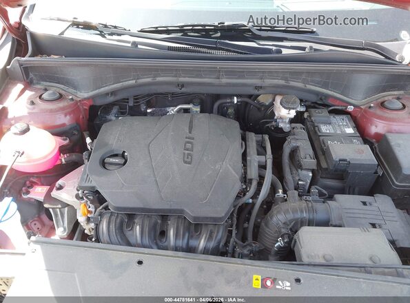 5XYRL4JC0RG293131 2024 KIA SORENTO Burgundy Вид ззаду