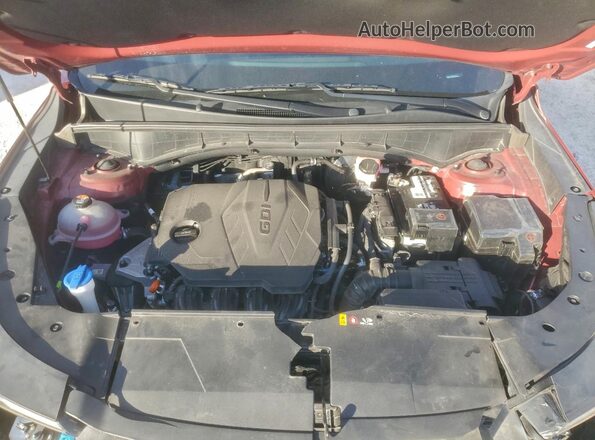 5XYRL4JC2RG282521 2024 KIA SORENTO Burgundy Vista del compartimento del motor