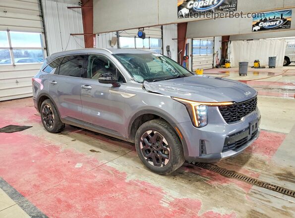 5XYRLDJCXRG278264 2024 KIA SORENTO Gray Przód prawy