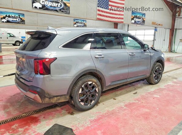 5XYRLDJCXRG278264 2024 KIA SORENTO Gray Tył prawy
