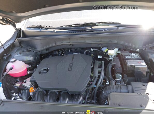 5XYRLDJCXTG434911 2026 KIA SORENTO Gray Widok z tyłu